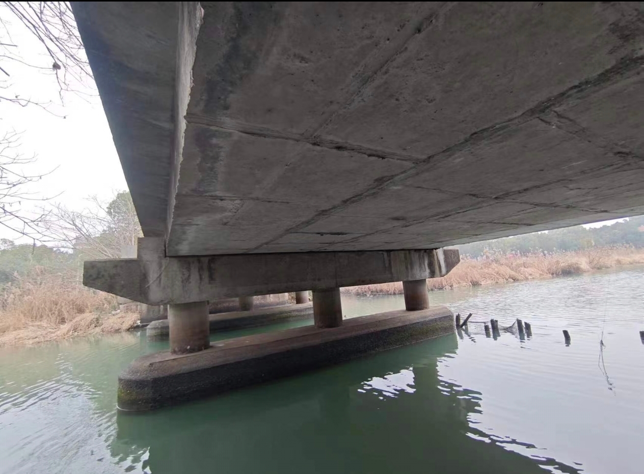 重庆--桥梁检测到底在忙啥？